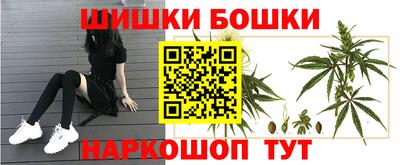 jwh Ноябрьск