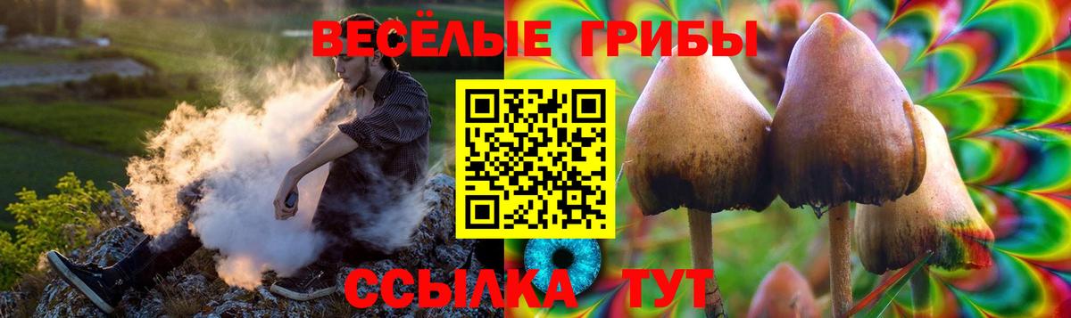 Галлюциногенные грибы ЛСД  Галлюциногенные грибы ЛСД  Вход с VPN  магазин  наркотиков  Аргун 